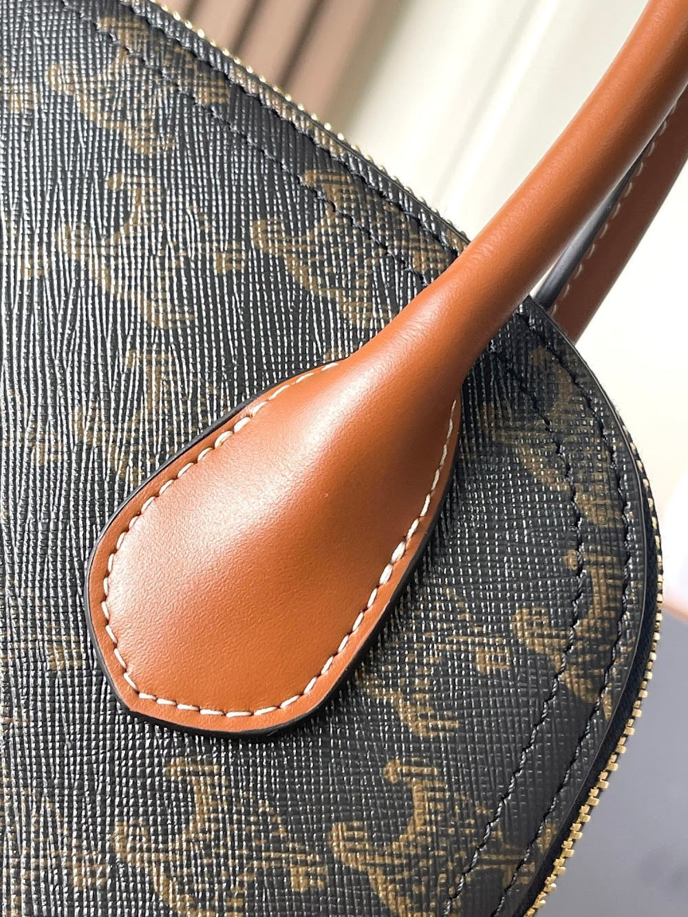 Dragons Bags Celine Luxury Bag --112367