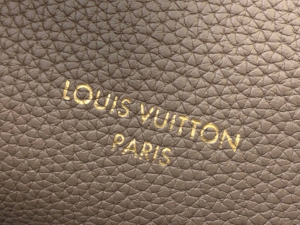 Dragons Bags ln Luxury Bag --96699