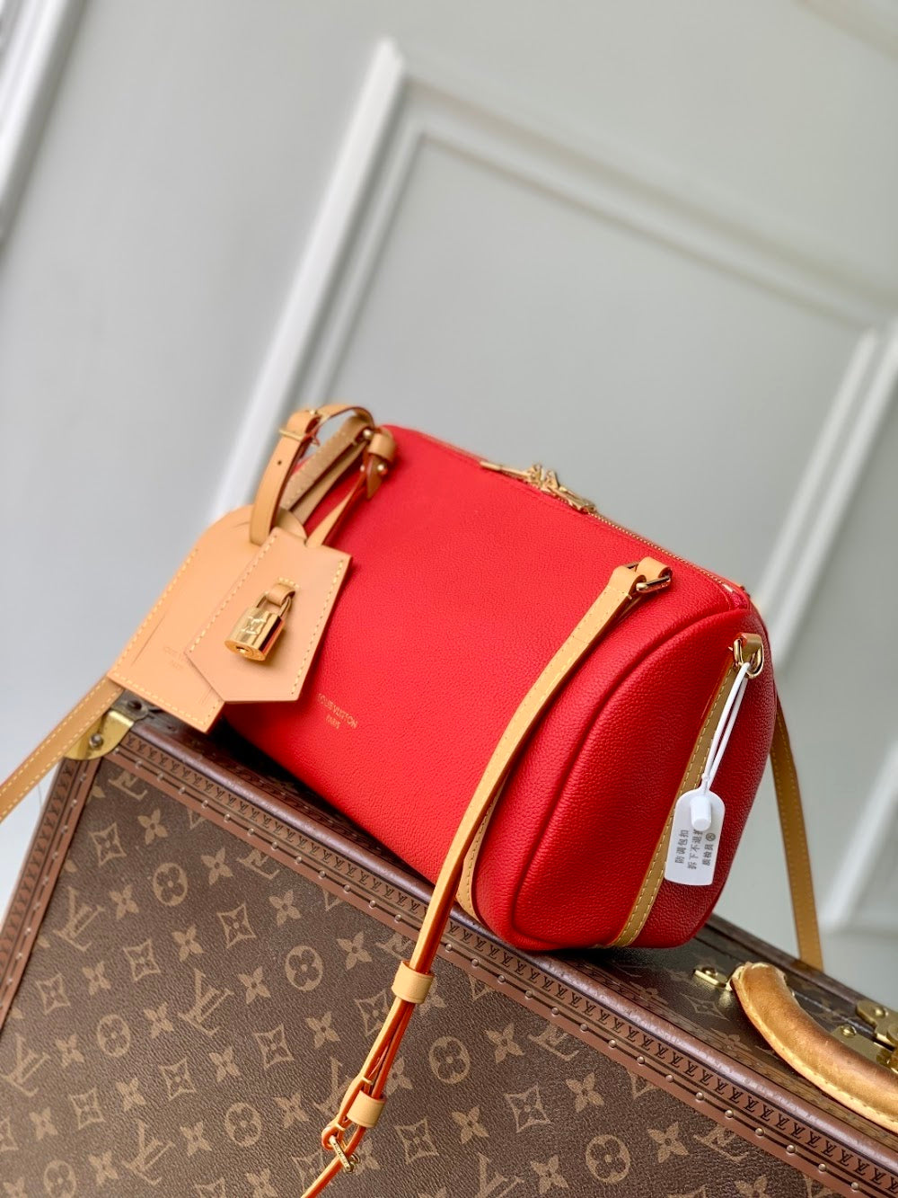 Dragons Bags ln Luxury Bag --96700