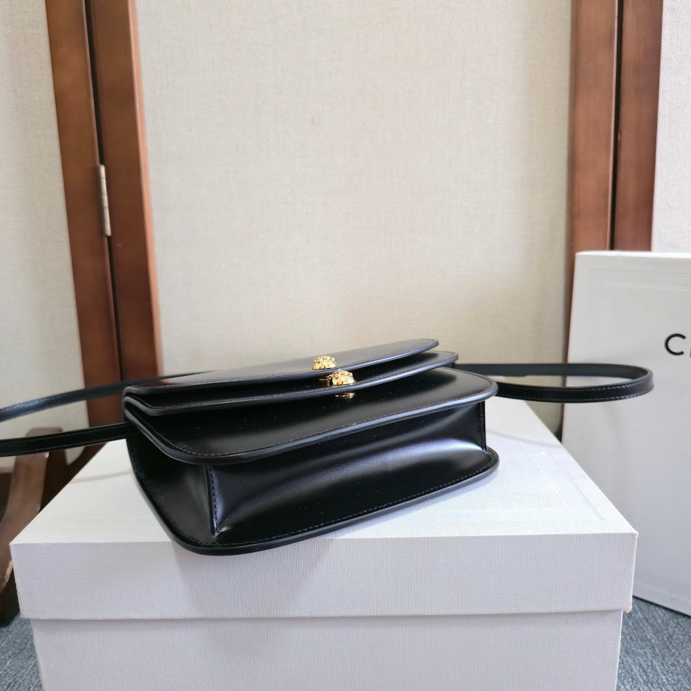 Dragons Bags Celine Luxury Bag --112636
