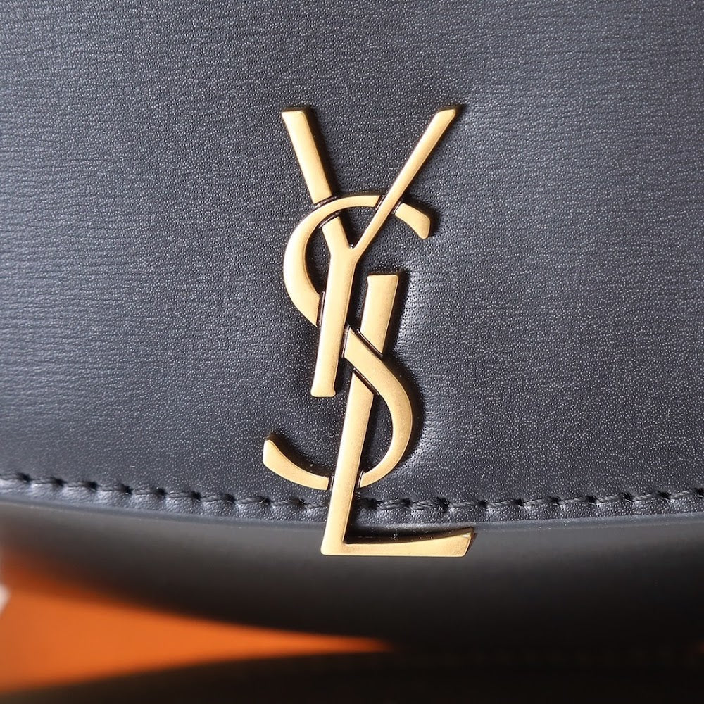 Dragons Bags YSLn Luxury Bag --119624