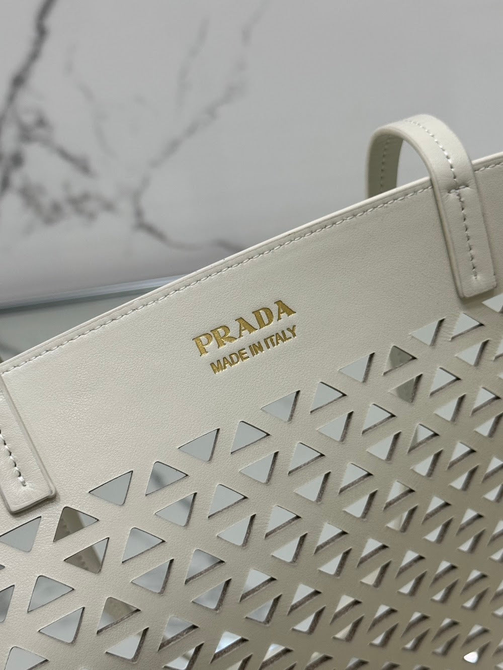 Dragons Bags Pradn Luxury Bag --101862