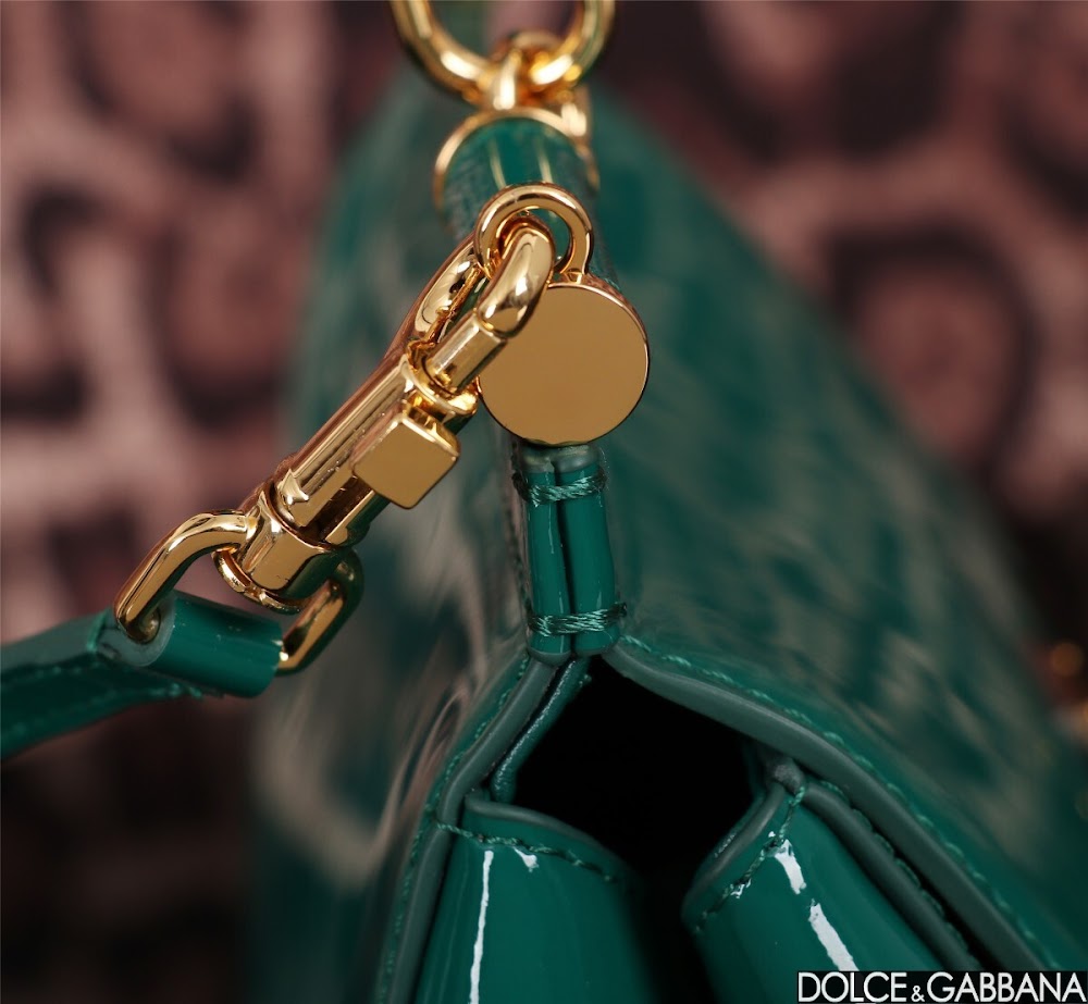 Dragons Bags DGn Luxury Bag --93633