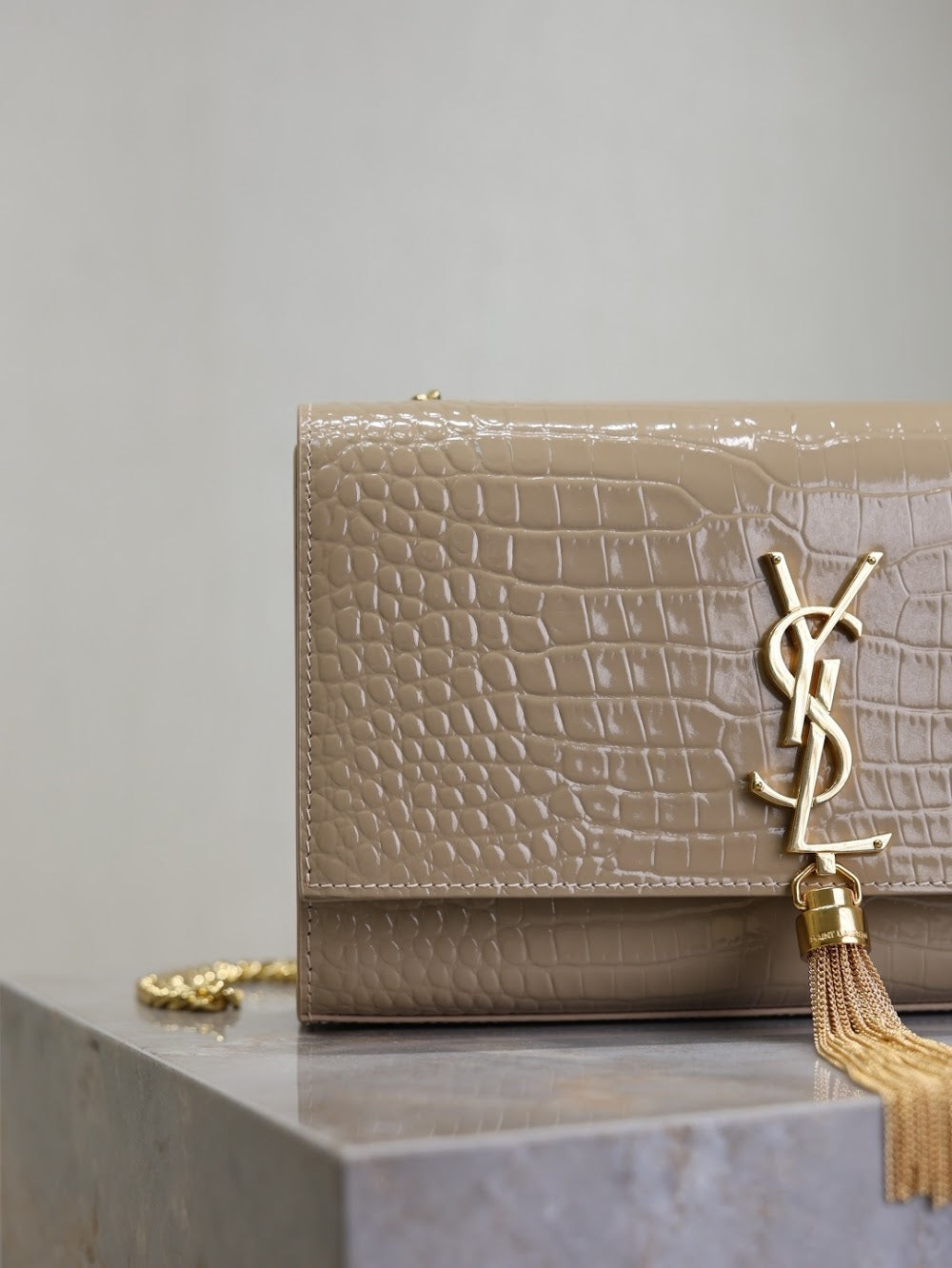 Dragons Bags YSLn Luxury Bag --119160