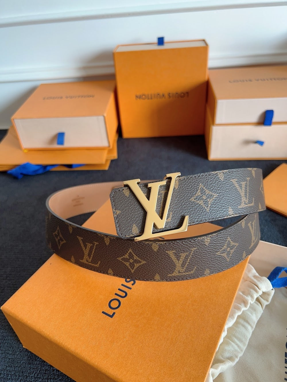 Dragons Bags ln Luxury Belt --100886