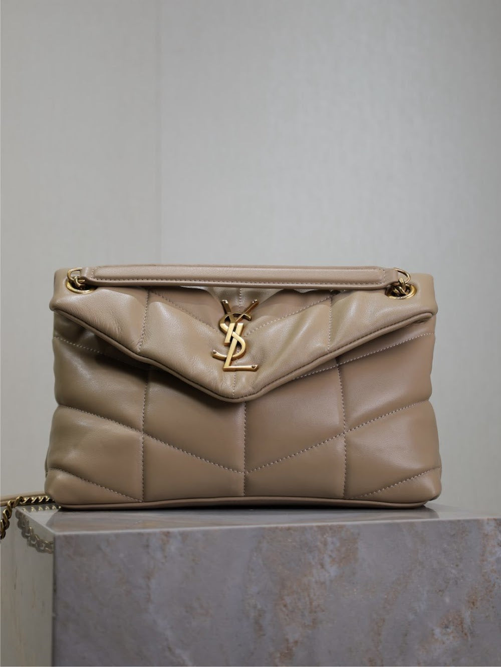 Dragons Bags YSLn Luxury Bag --119430