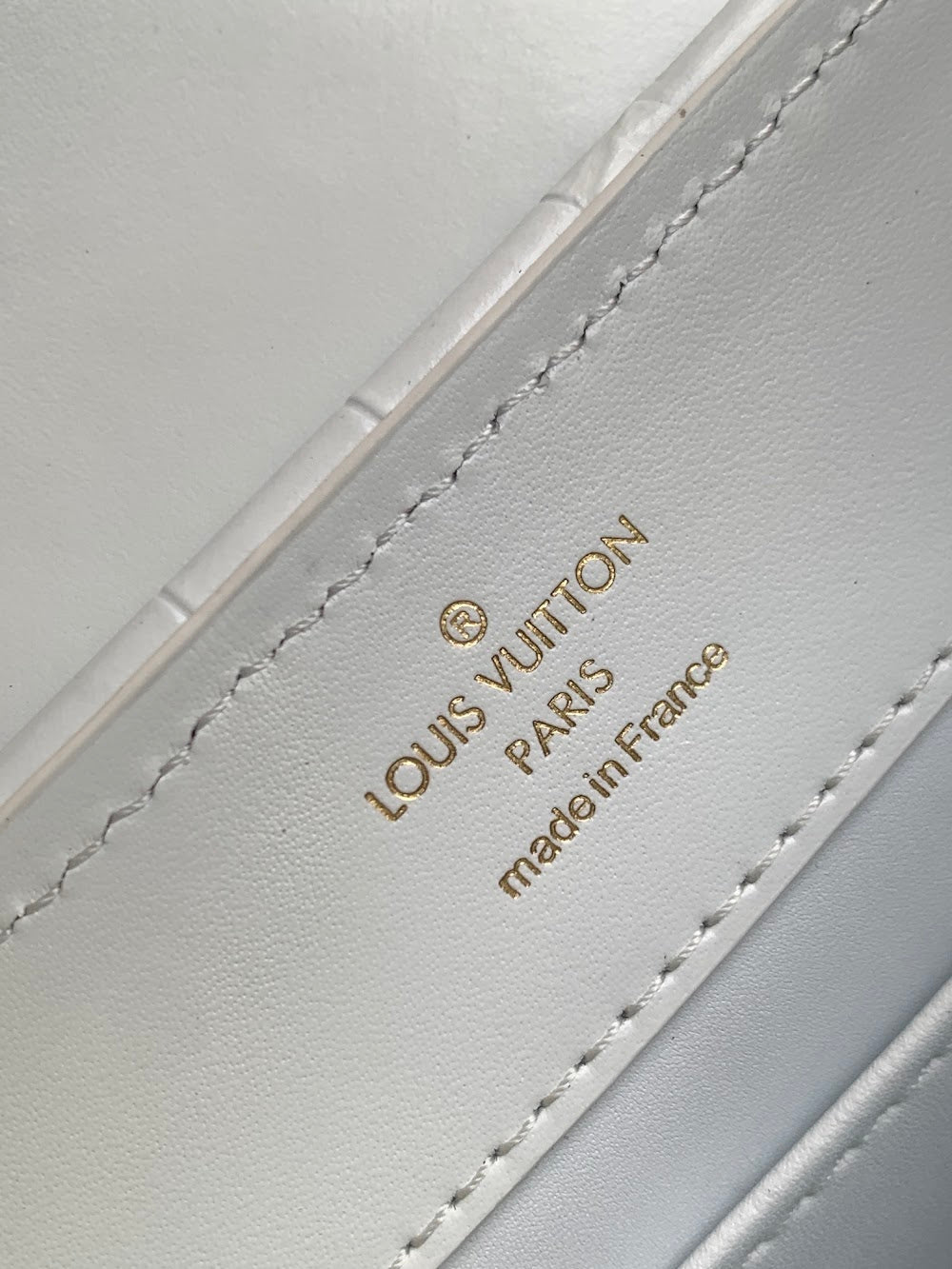 Dragons Bags ln Luxury Bag --96823