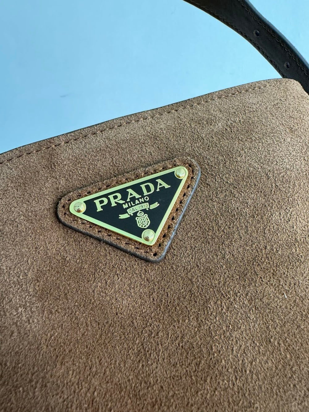Dragons Bags Pradn Luxury Bag --101495