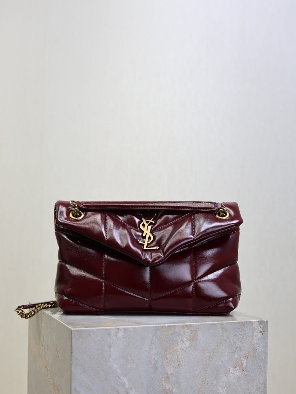 Dragons Bags YSLn Luxury Bag --119719