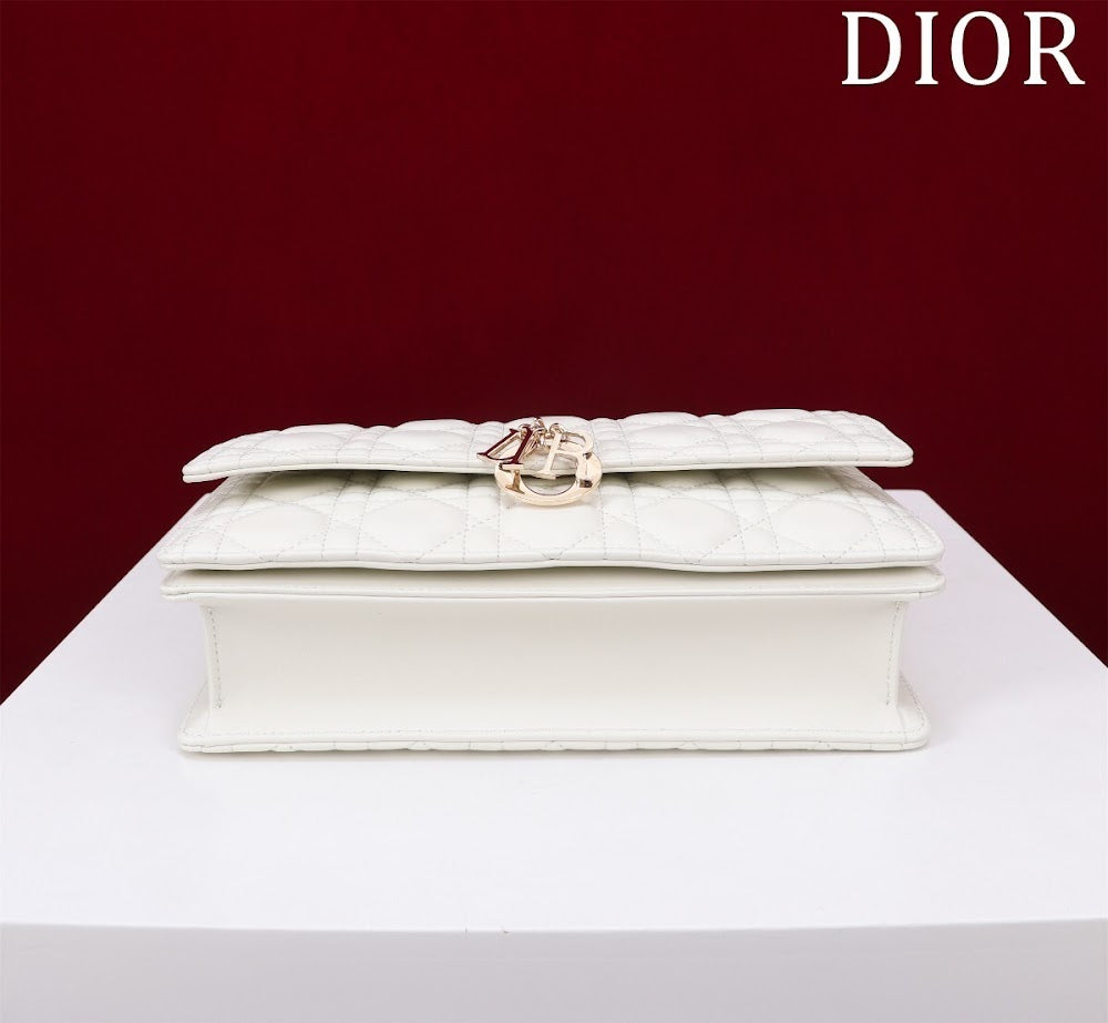 Dragons BagsDiorn Luxury Bag --116288