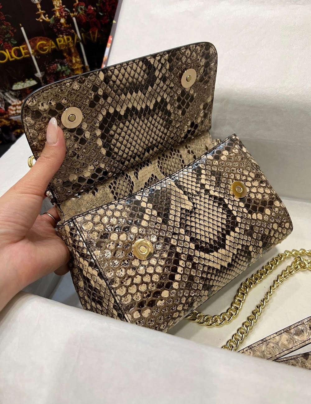 Dragons Bags DGn Luxury Bag --93287