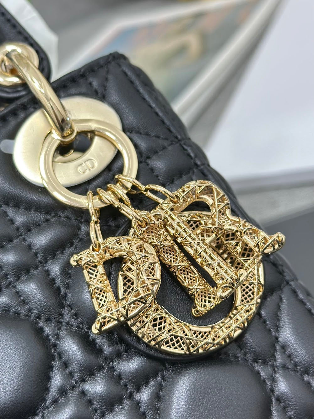 Dragons BagsDiorn Luxury Bag --116091