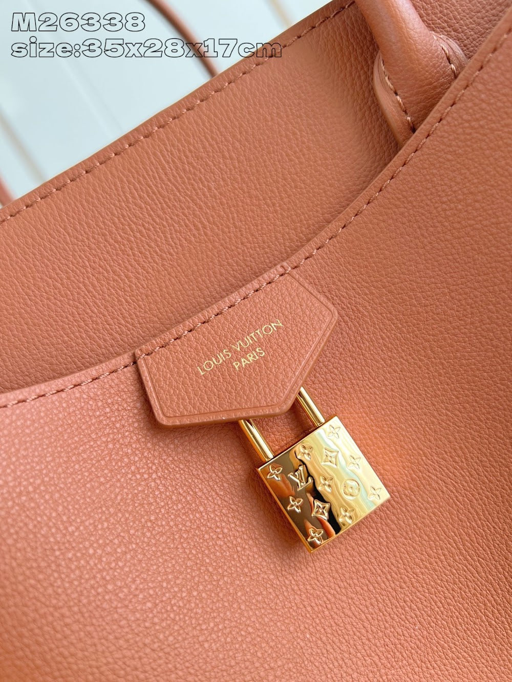 Dragons Bags ln Luxury Bag --95745