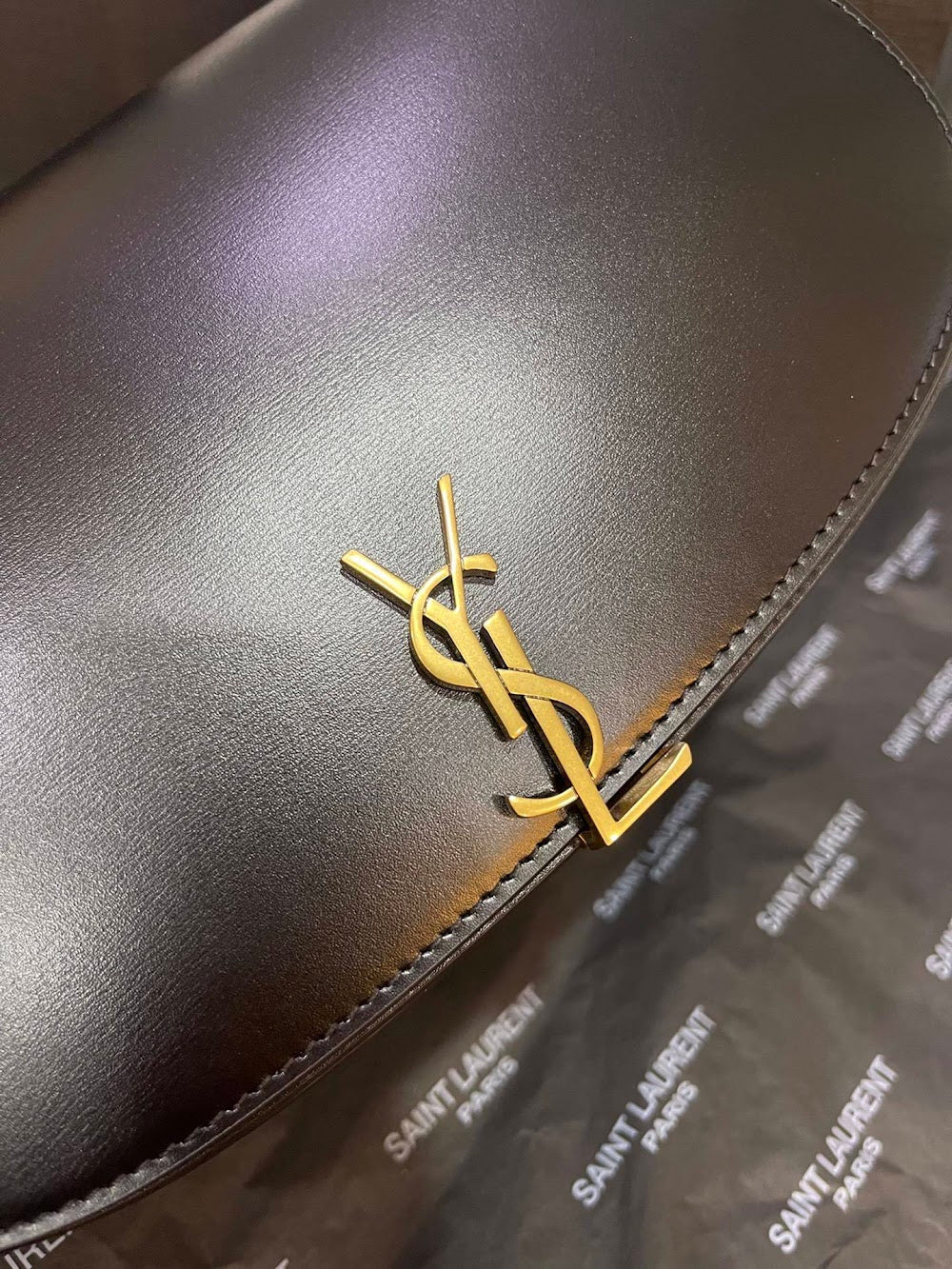 Dragons Bags YSLn Luxury Bag --119103