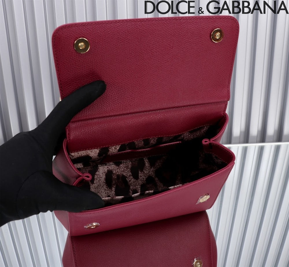 Dragons Bags DGn Luxury Bag --93608
