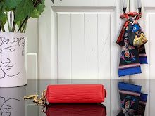 new-designer-premium-bags-nm1555