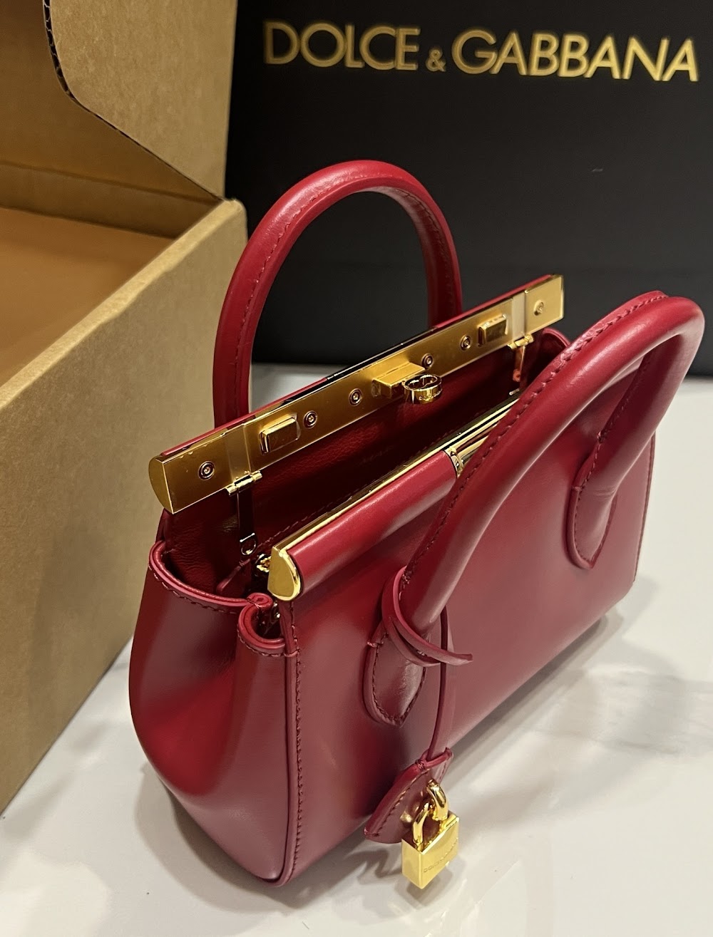 Dragons Bags DGn Luxury Bag --93896