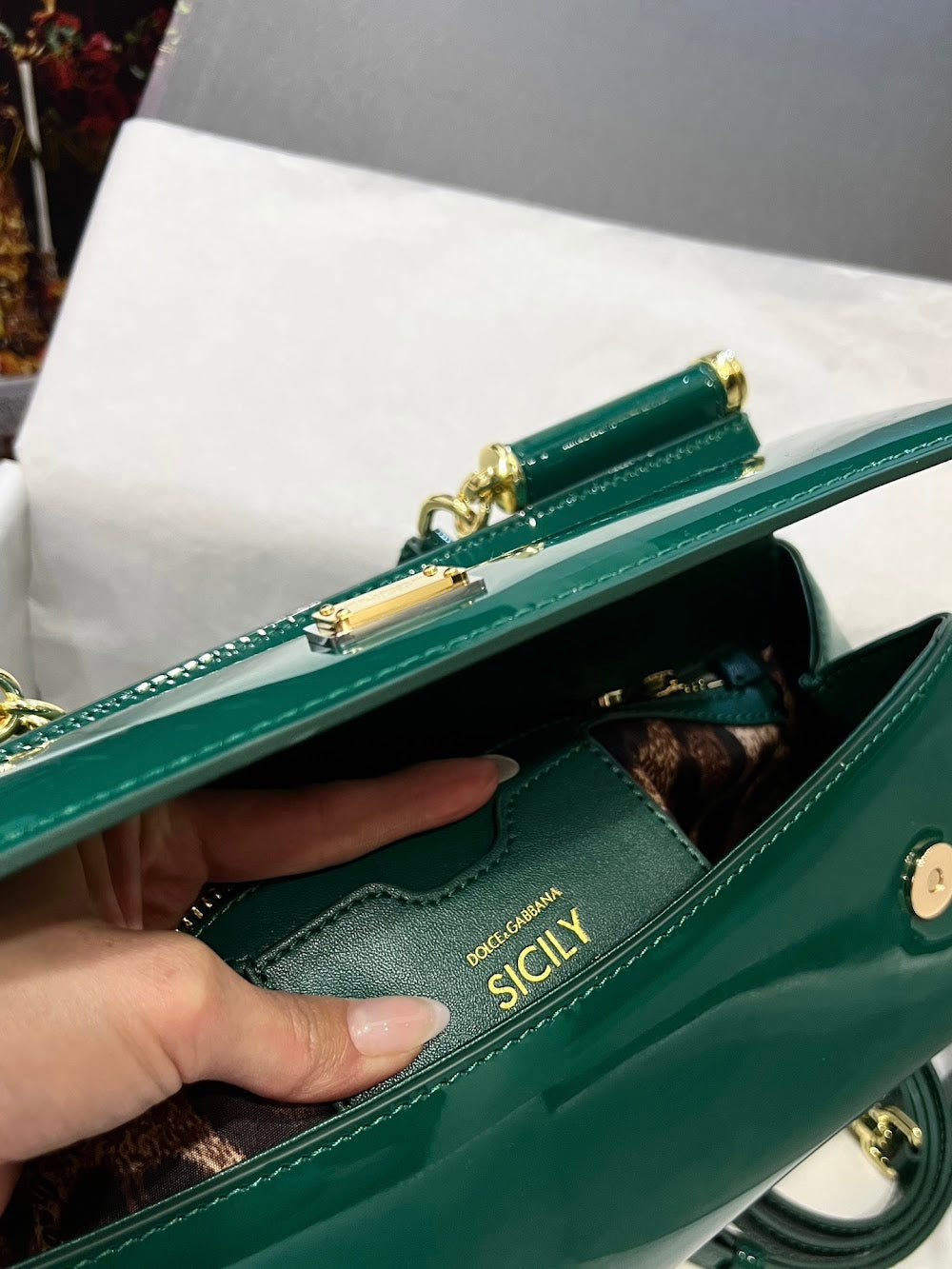 Dragons Bags DGn Luxury Bag --93293