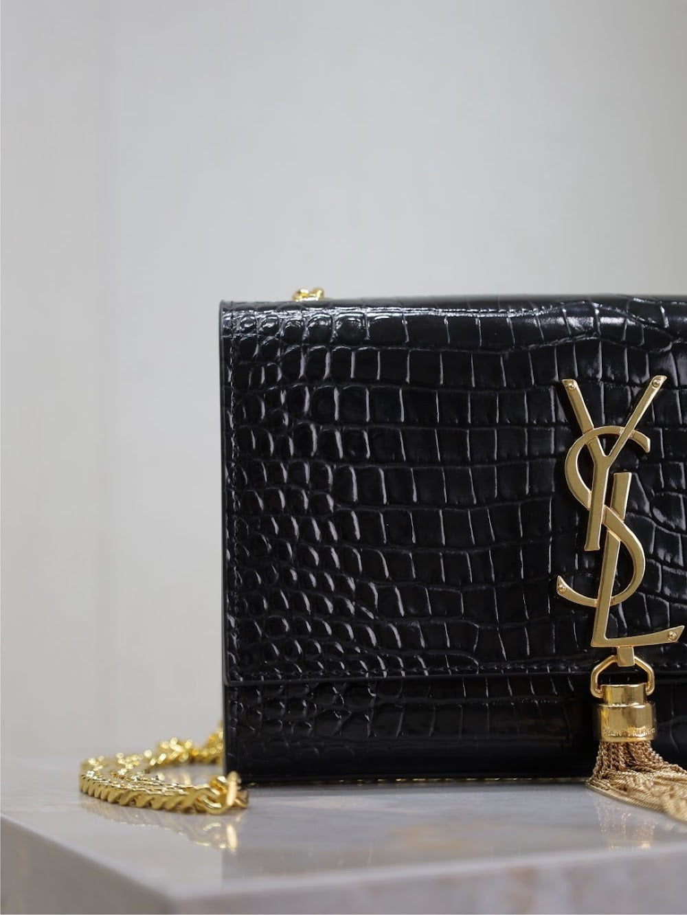Dragons Bags YSLn Luxury Bag --120526