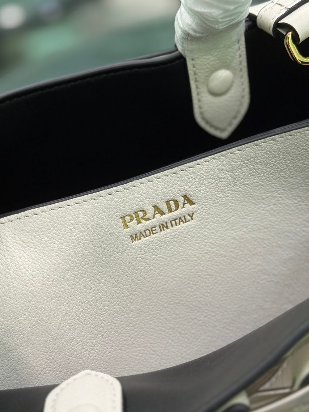 Dragons Bags Pradn Luxury Bag --102293