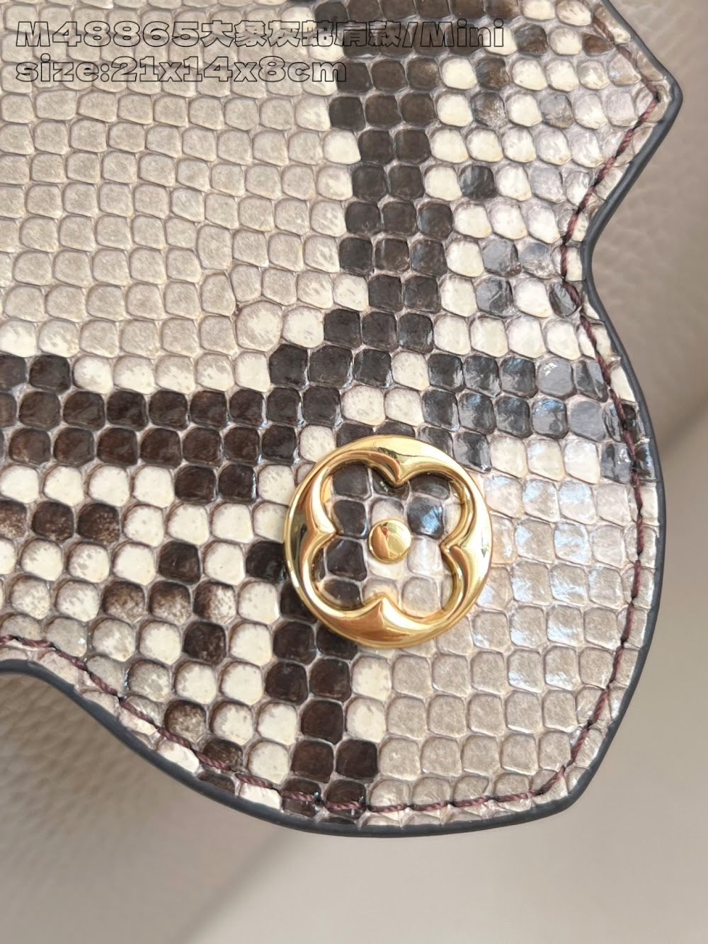 Dragons Bags ln Luxury Bag --95681