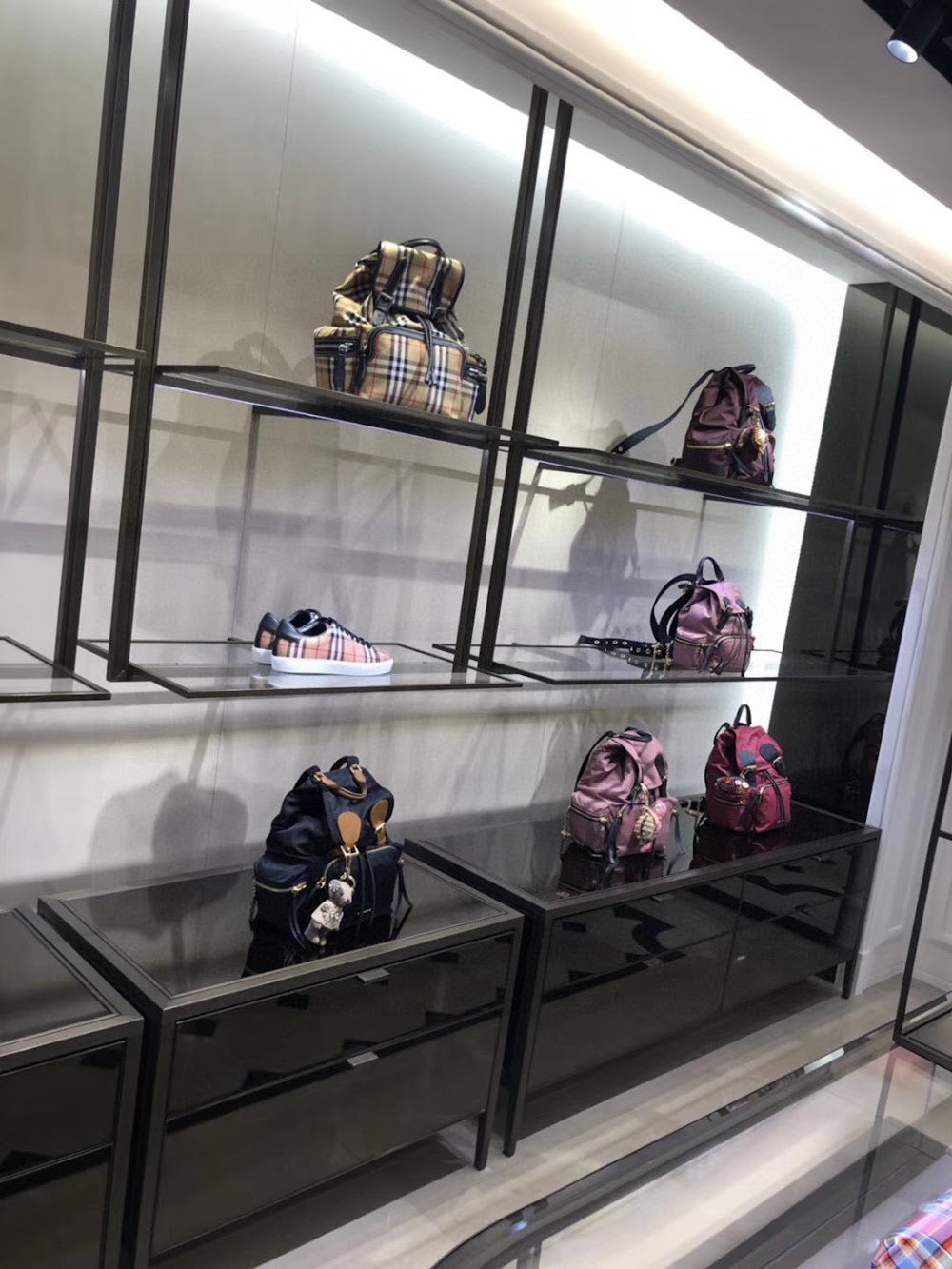 Dragons Bags Burberryn Luxury Bag --91737