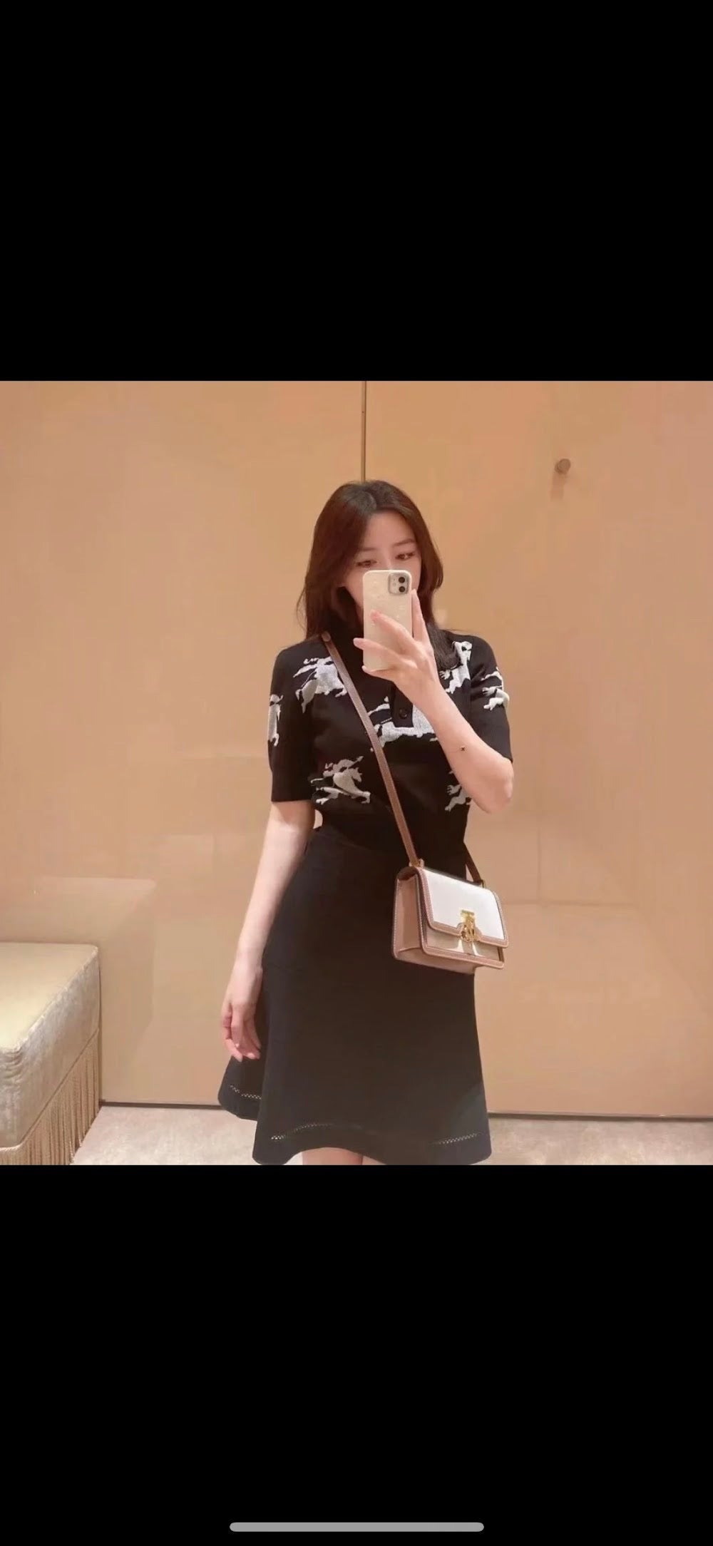 Dragons Bags Burberryn Luxury Bag --91619
