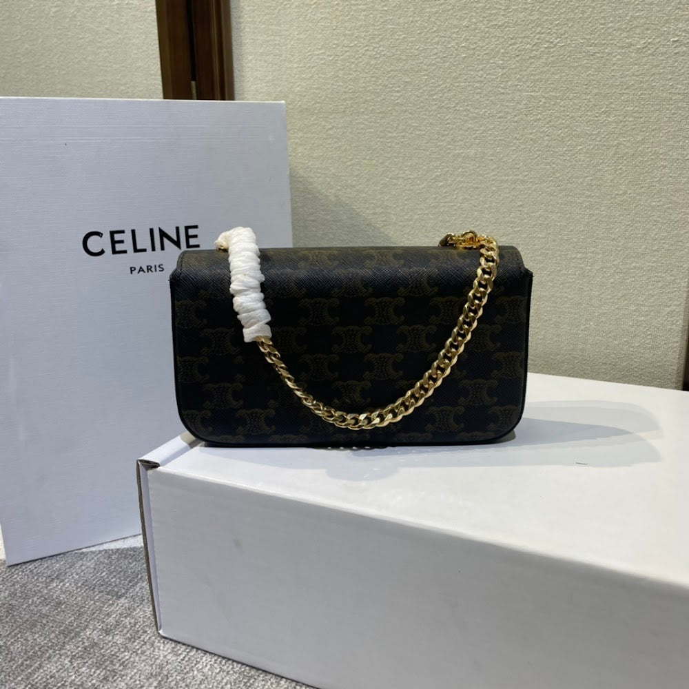 Dragons Bags Celine Luxury Bag --112644