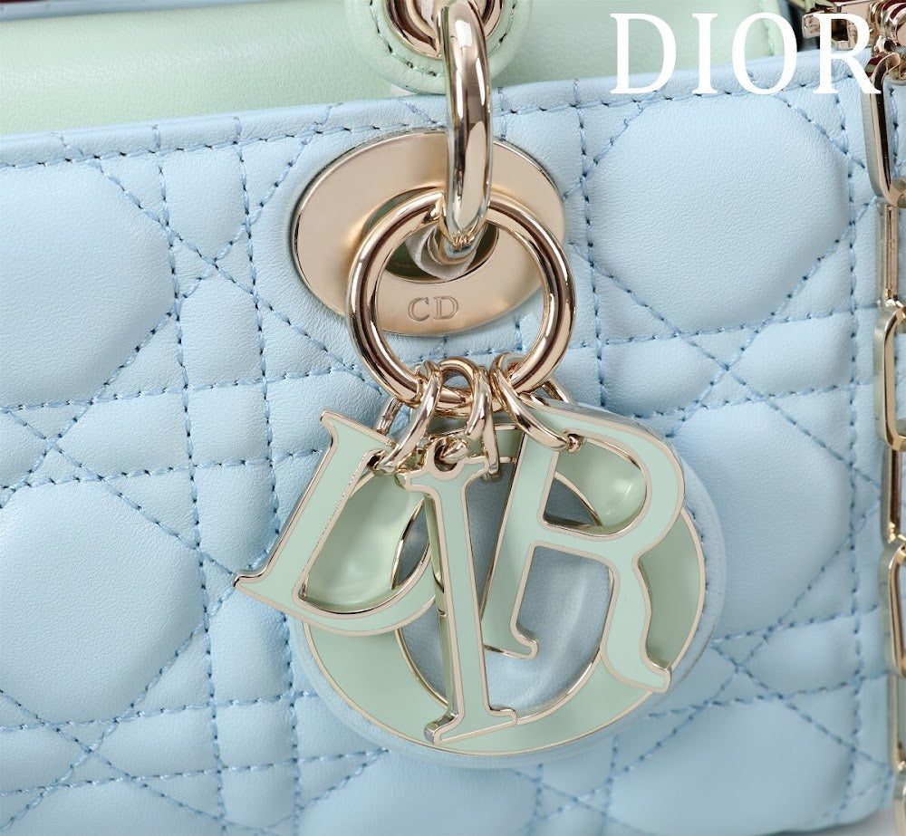 Dragons BagsDiorn Luxury Bag --114844