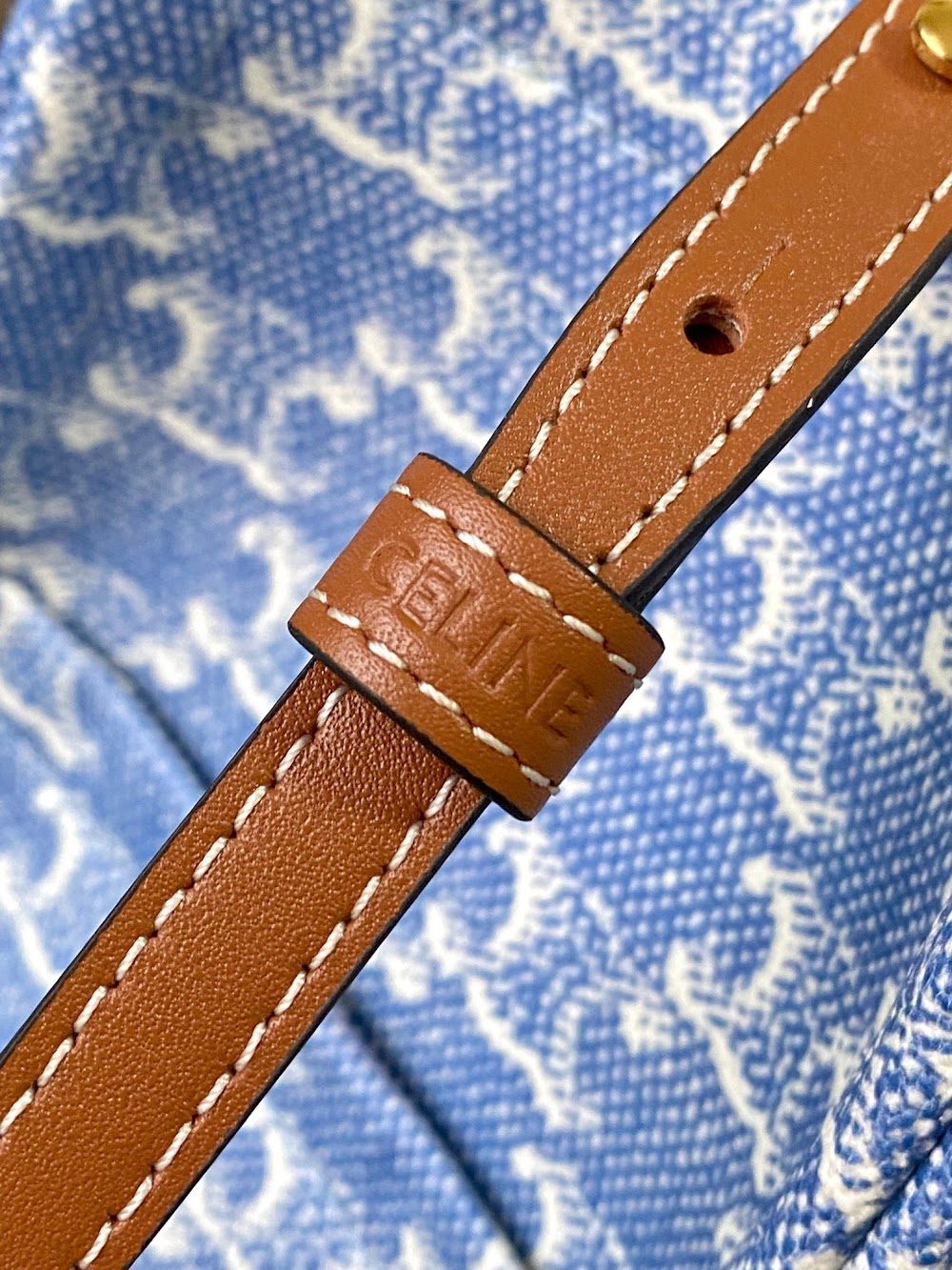 Dragons Bags Celine Luxury Bag --112135