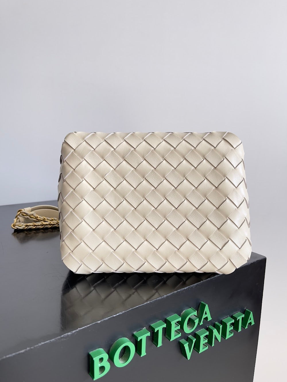 new-elite-designer-bags-nm10579