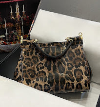 new-designer-premium-bags-nm6877