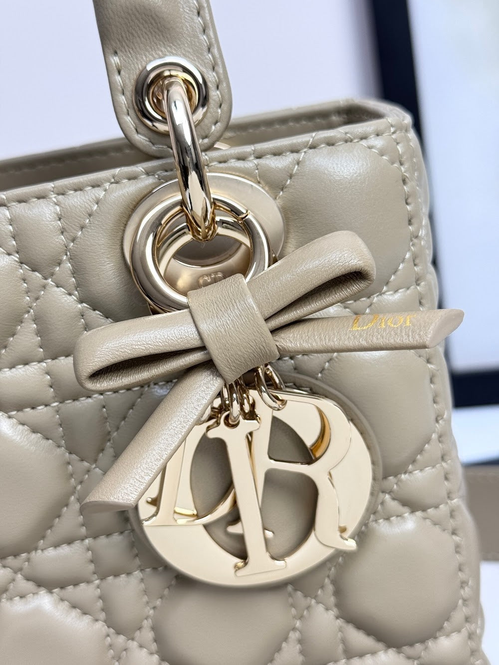 Dragons BagsDiorn Luxury Bag --114946