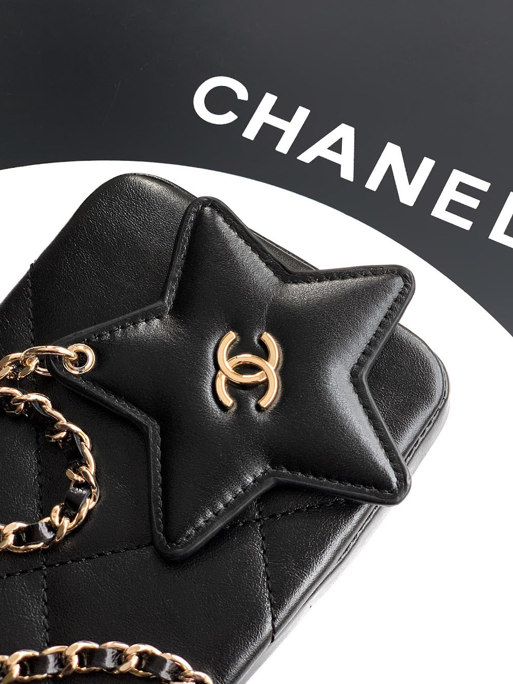 Dragons Bags CHn Luxury Bag --112805
