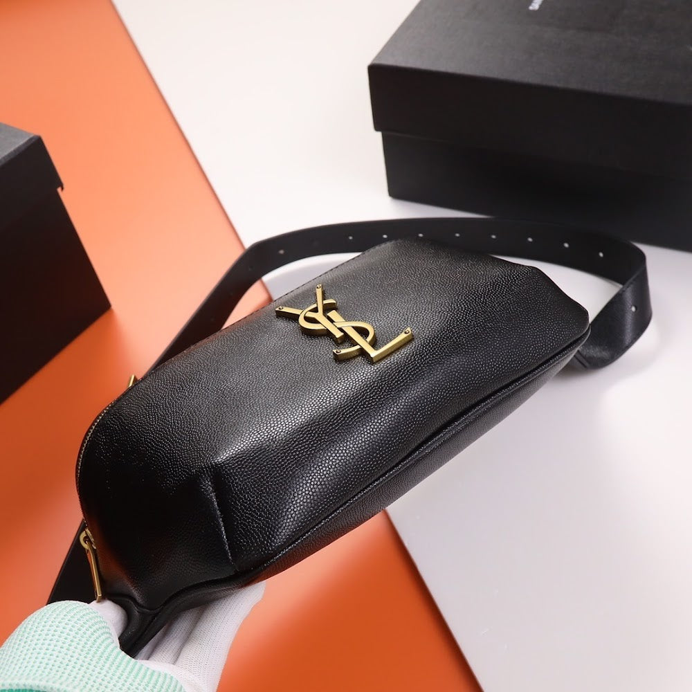 Dragons Bags YSLn Luxury Bag --119503
