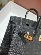 new-elite-designer-bags-nm9220