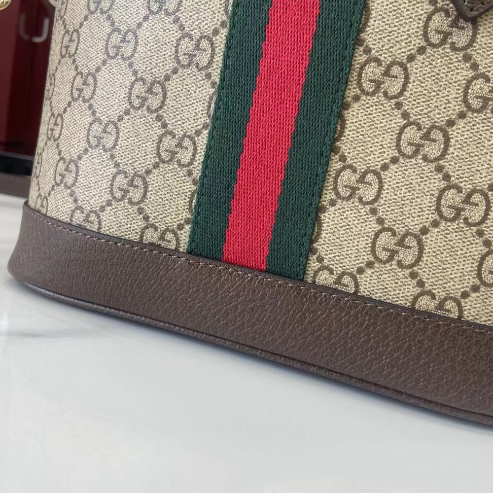 Dragons Bags Guccin Luxury Bag --94623