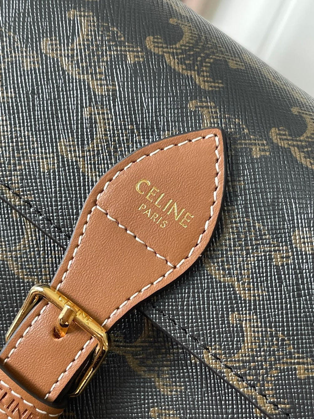Dragons Bags Celine Luxury Bag --112098