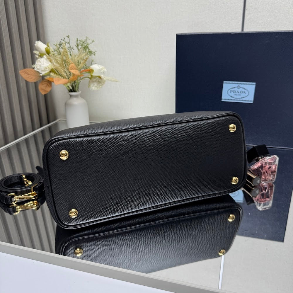 Dragons Bags Pradn Luxury Bag --102221
