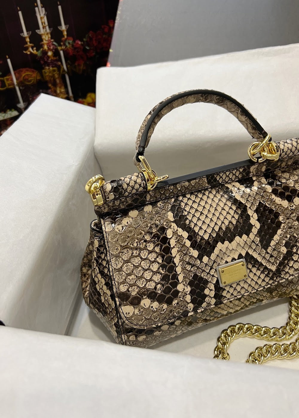 Dragons Bags DGn Luxury Bag --93287