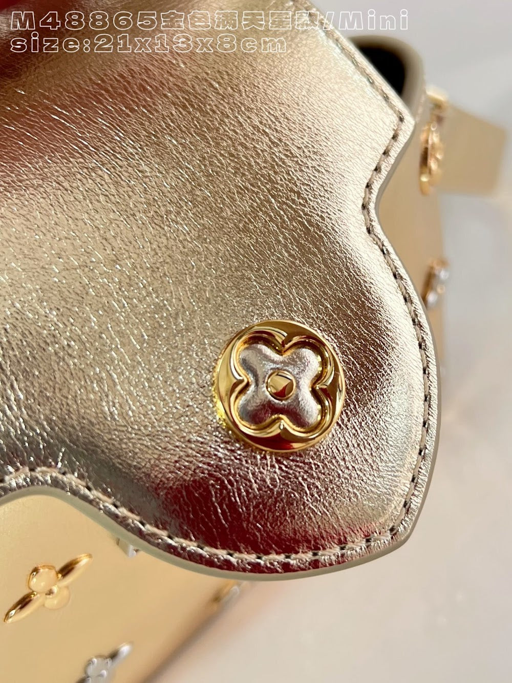 Dragons Bags ln Luxury Bag --95843