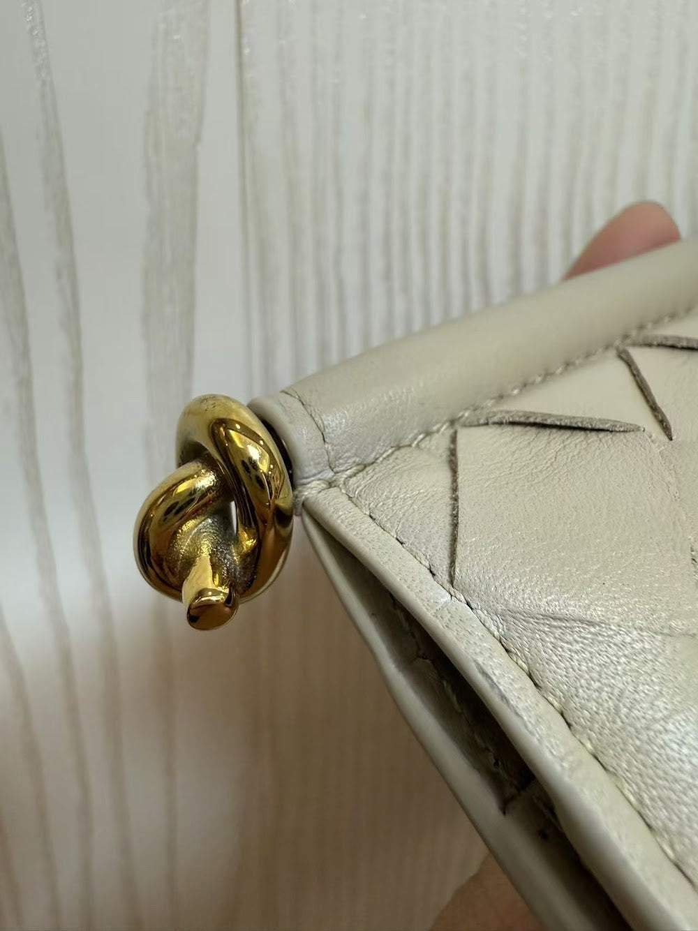 Dragons Bags Bottegan Luxury Bag --90698