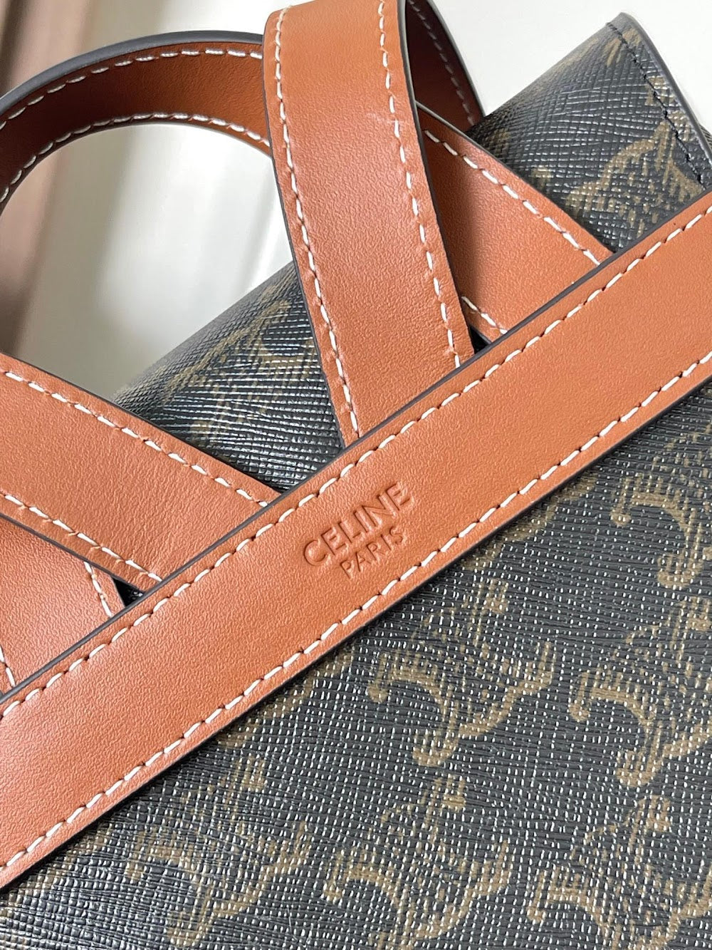 Dragons Bags Celine Luxury Bag --112102