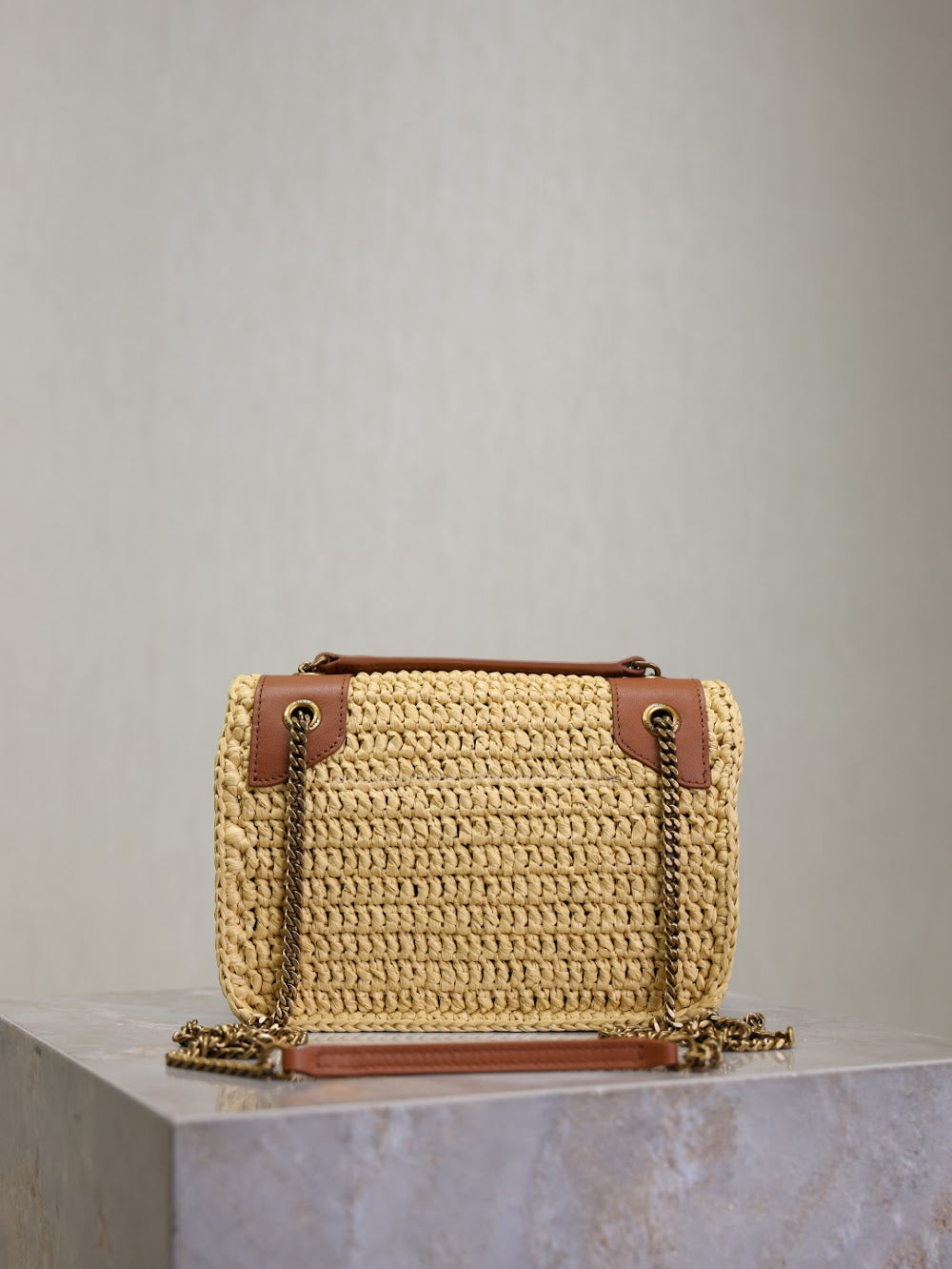 Dragons Bags YSLn Luxury Bag --119184