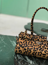 new-luxury-designer-bags-nm2117