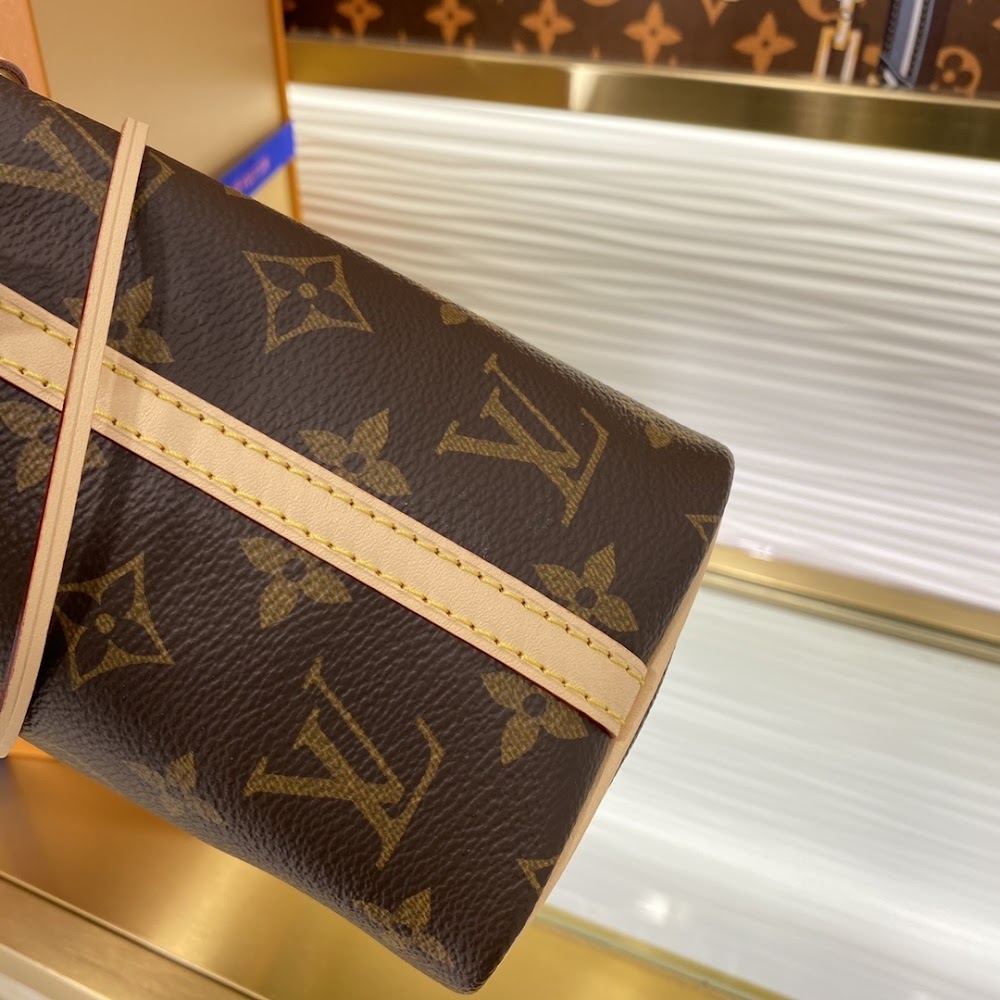 Dragons Bags LVn Luxury Bag --80891