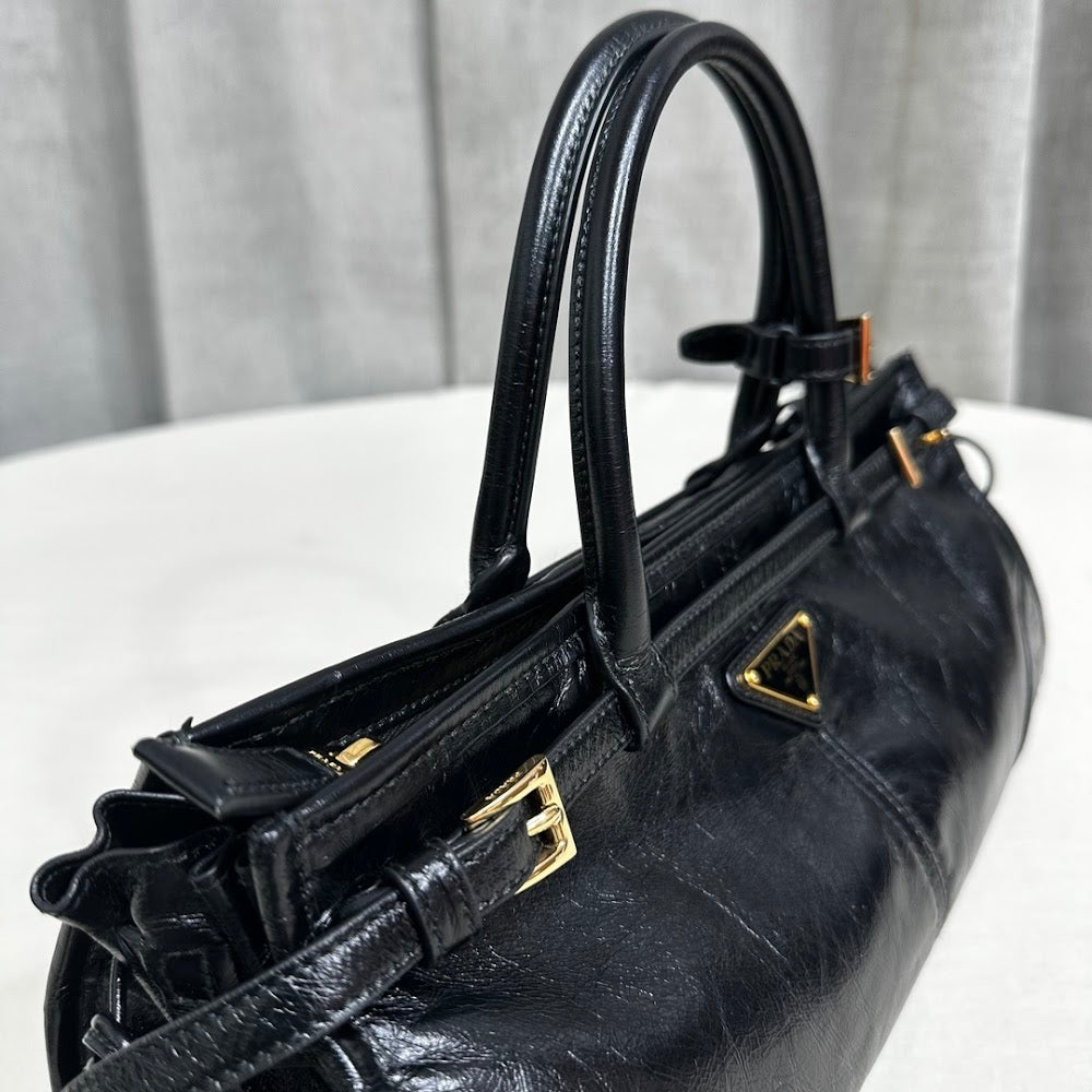 Dragons Bags Pradn Luxury Bag --102009