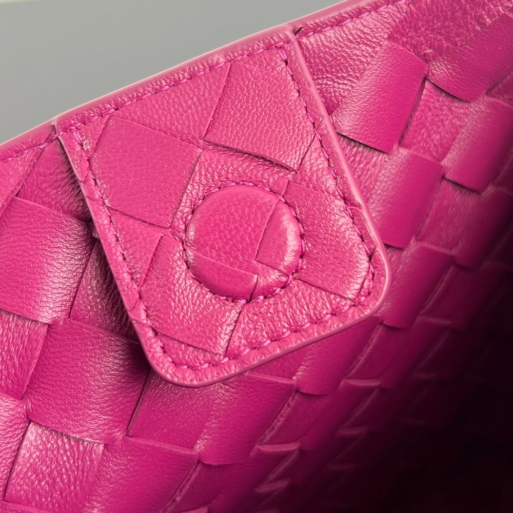 Dragons Bags Bottegan Luxury Bag --91280