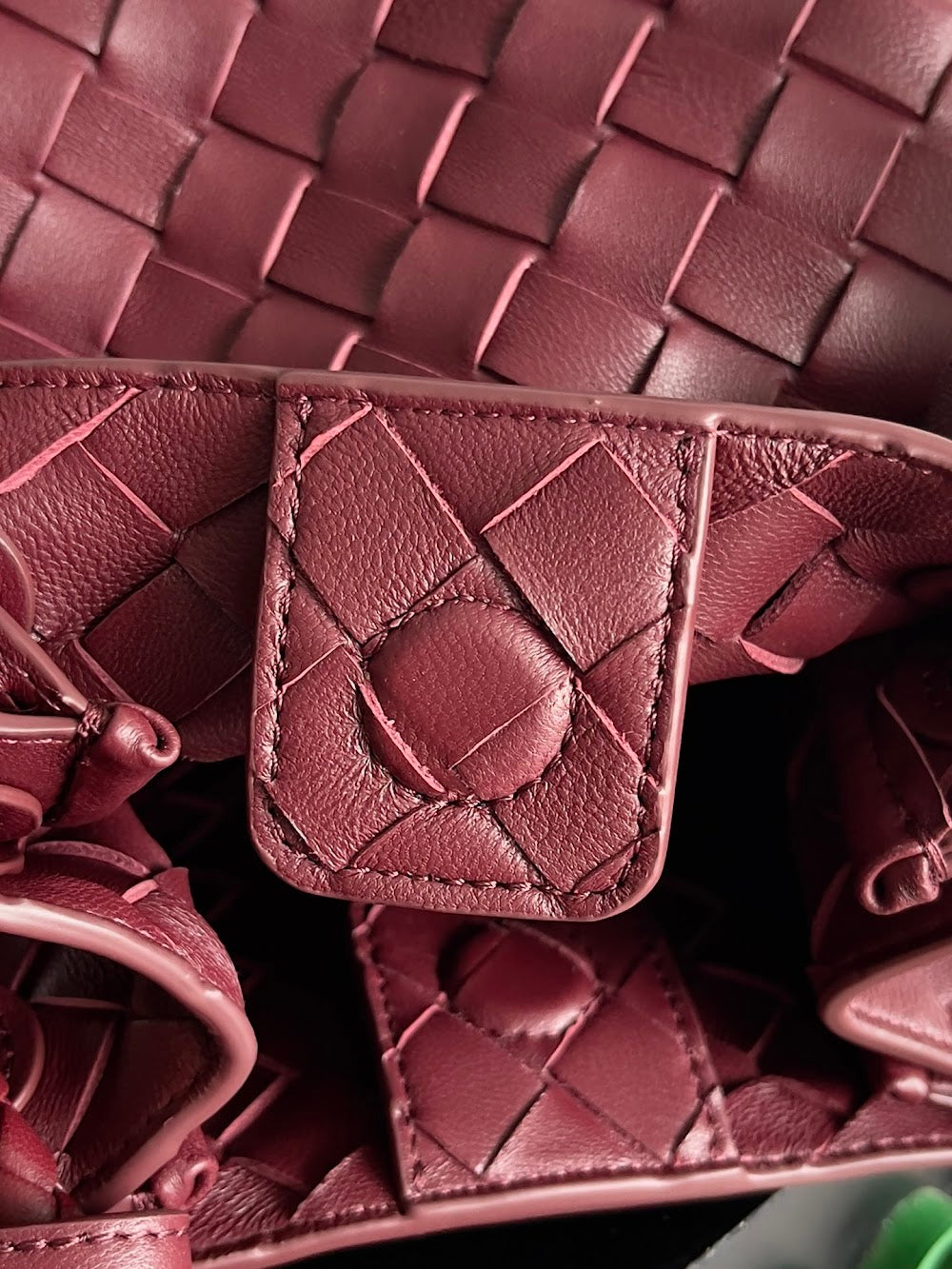 Dragons Bags Bottegan Luxury Bag --90956