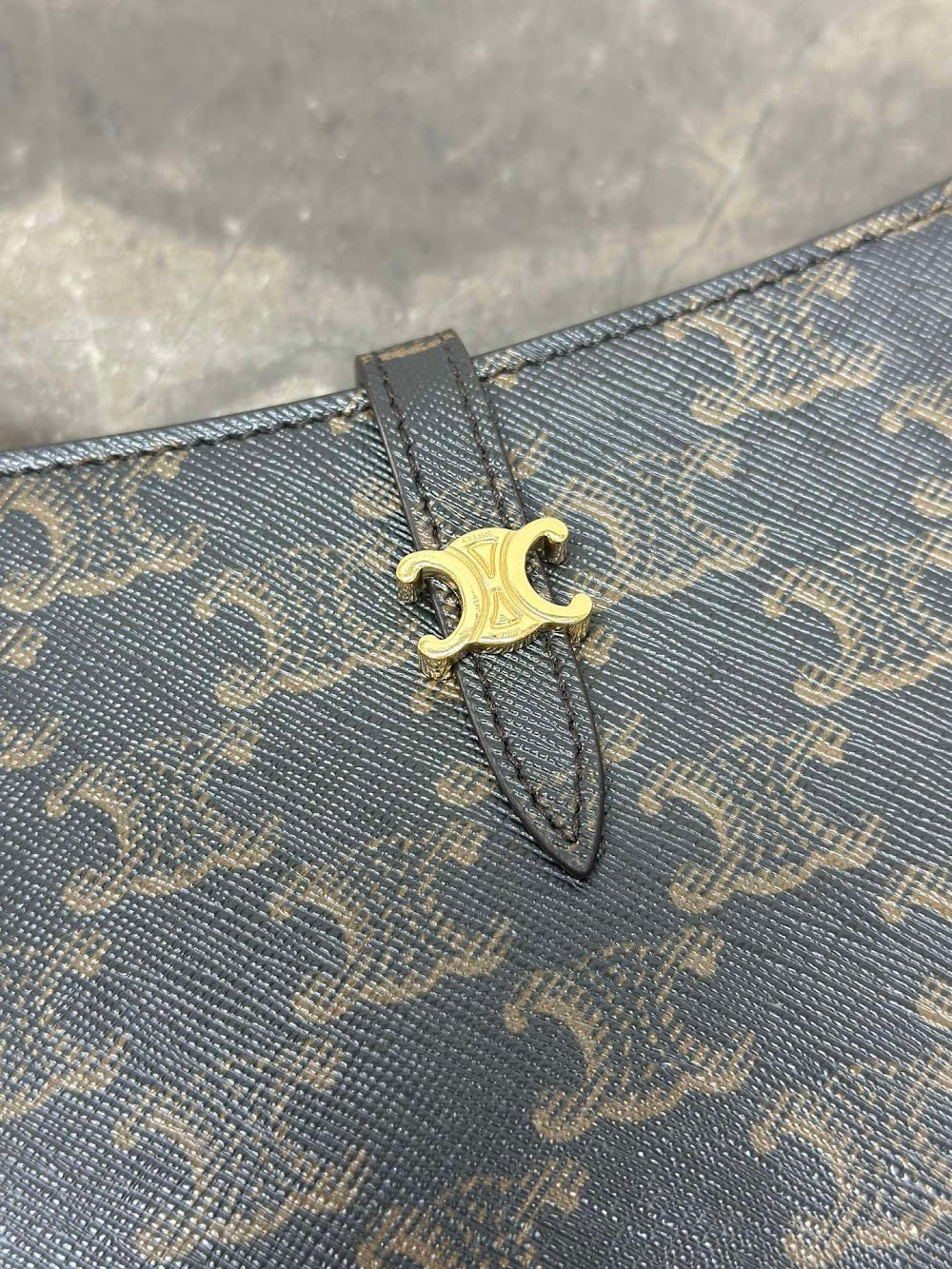 Dragons Bags Celine Luxury Bag --112545